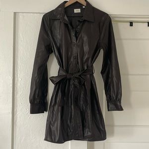 Aritzia Chocolate leather button up dress
